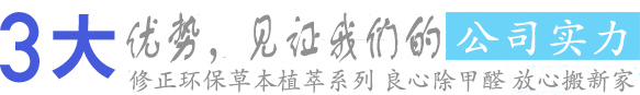 福州甲醛治理公司