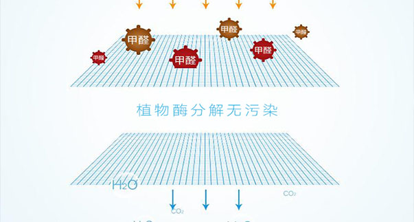 福州室内空间净化